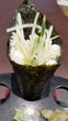 Kappa Temaki